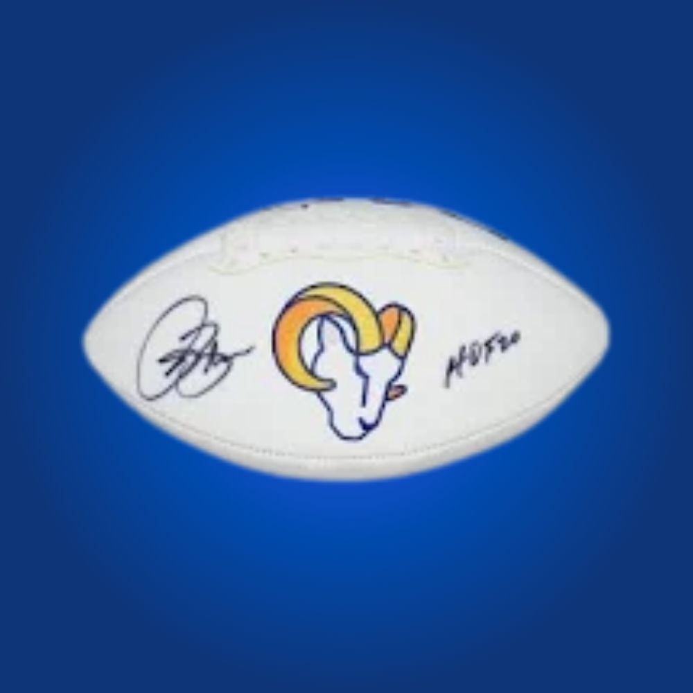 Jason Taylor signed Miami Dolphins logo football, a showpiece collectible for Dolphins fans and collectors, certified authentic and ideal for display.