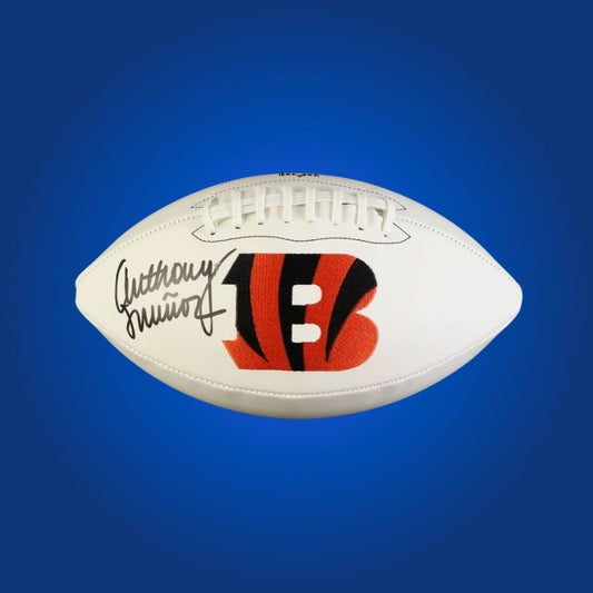 Anthony Munoz signed Cincinnati Bengals logo football, a premium collectible for fans of the Hall of Fame tackle, authenticated for display.