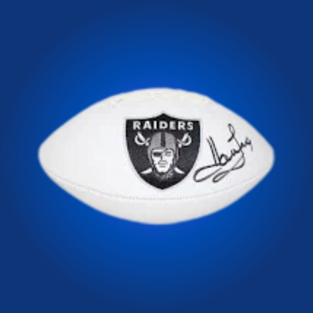 Howie Long signed Las Vegas Raiders logo football, a premium addition for Raiders memorabilia collections, certified authentic and perfect for display.