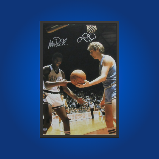 Magic w/Bird 16x20 photo Framed