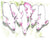 Artwork from Pink Piglet Beginning Reader available on Etsy to download. Search Creativebks on Etsy to download